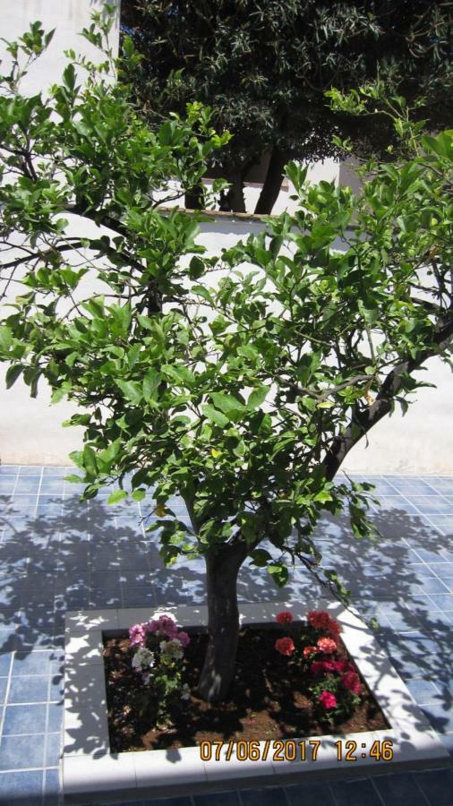 La Sterlizia Apartment Mondello Ngoại thất bức ảnh